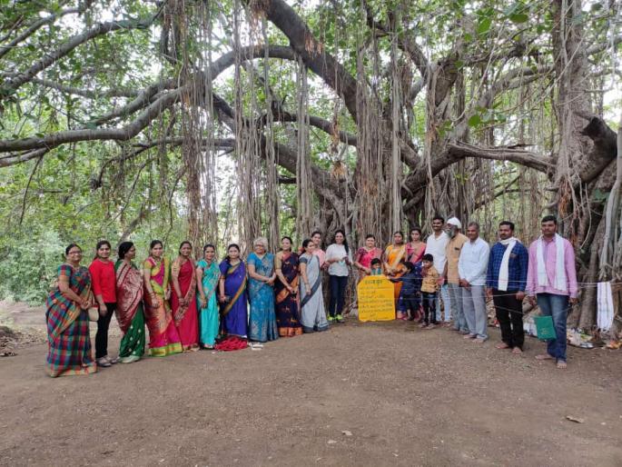 The hundred year old Banyan tree got the status of a heritage tree | शंभर वर्षे जुन्या वडाच्या झाडाला मिळाला वारसा वृक्षाचा दर्जा The hundred year old Banyan tree got the status of a heritage tree | शंभर वर्षे जुन्या वडाच्या झाडाला मिळाला वारसा वृक्षाचा दर्जा