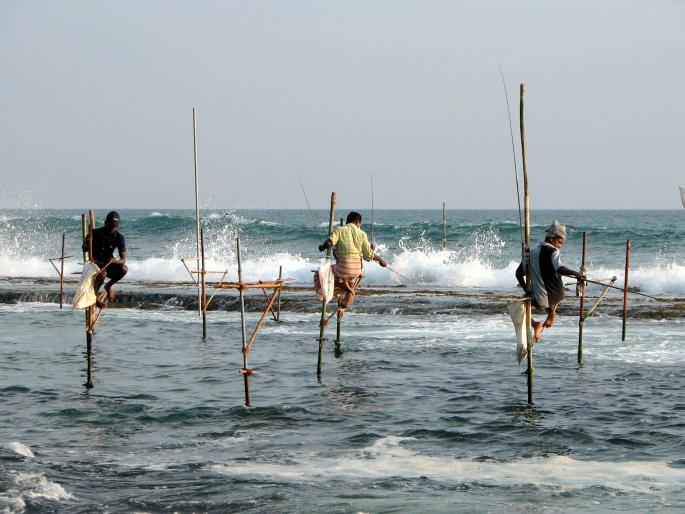 Fisheries production decreased by 22.5% in the state | राज्यात मत्स्य उत्पादनात झाली २२.५ टक्के घट Fisheries production decreased by 22.5% in the state | राज्यात मत्स्य उत्पादनात झाली २२.५ टक्के घट
