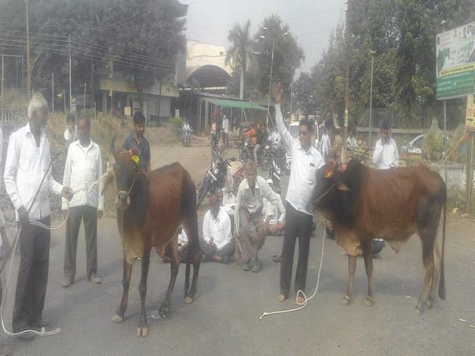 Stop the way of the farmer at Chopda | वीजपुरवठा खंडीत केल्याच्या निषेर्धात चोपडा येथे शेतक-यांचा रास्ता रोको Stop the way of the farmer at Chopda | वीजपुरवठा खंडीत केल्याच्या निषेर्धात चोपडा येथे शेतक-यांचा रास्ता रोको