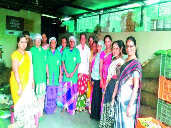 Inspirational ..! Tenth pass Pallavi Handen turnover millions in a month | प्रेरणादायी ..! दहावी पास पल्लवी हांडेंची महिन्याला लाखोंची उलाढाल Inspirational ..! Tenth pass Pallavi Handen turnover millions in a month | प्रेरणादायी ..! दहावी पास पल्लवी हांडेंची महिन्याला लाखोंची उलाढाल