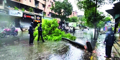 The wall of the house collapsed in Fadarwadi | फादरवाडीमध्ये घराची भिंत कोसळली, वाहनांचे नुकसान, वृक्षही उन्मळून पडले The wall of the house collapsed in Fadarwadi | फादरवाडीमध्ये घराची भिंत कोसळली, वाहनांचे नुकसान, वृक्षही उन्मळून पडले