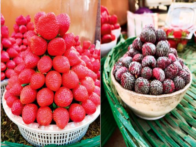 Strawberries paired with raspberries and gooseberries! | स्ट्रॉबेरीच्या जोडीला रासबेरी अन् गुजबेरी ! Strawberries paired with raspberries and gooseberries! | स्ट्रॉबेरीच्या जोडीला रासबेरी अन् गुजबेरी !