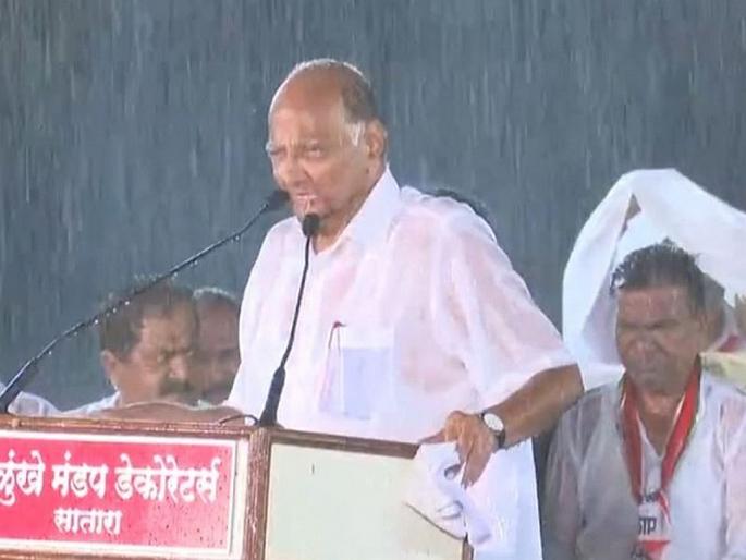 maharashtra vidhan sabha result : Pawar's confession of satara rally; The rally was beneficial to the NCP in election | पवारांची प्रांजळ कबुली ; पावसातील सभेचा राष्ट्रवादीला फायदाच झाला, पण...  maharashtra vidhan sabha result : Pawar's confession of satara rally; The rally was beneficial to the NCP in election | पवारांची प्रांजळ कबुली ; पावसातील सभेचा राष्ट्रवादीला फायदाच झाला, पण...