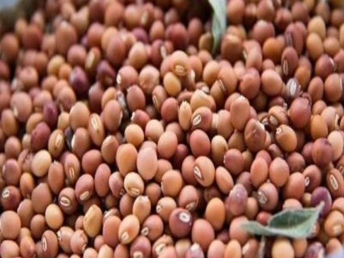 In Akola, the highest rate of turi is 10 thousand 285 rupees; Income of 4 thousand kattas | अकोल्यात तुरीला उच्चांकी १० हजार २८५ रुपये दर; ४ हजार कट्ट्यांची आवक