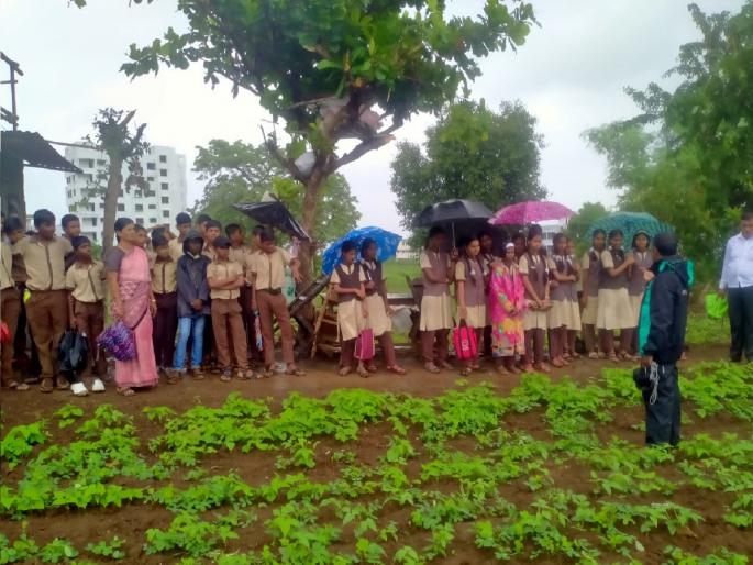 the students went to the actual dam and took lessons agriculture In Satara | साताऱ्यात विद्यार्थ्यांनी प्रत्यक्ष बांधावर जाऊन घेतले शेतीचे धडे the students went to the actual dam and took lessons agriculture In Satara | साताऱ्यात विद्यार्थ्यांनी प्रत्यक्ष बांधावर जाऊन घेतले शेतीचे धडे