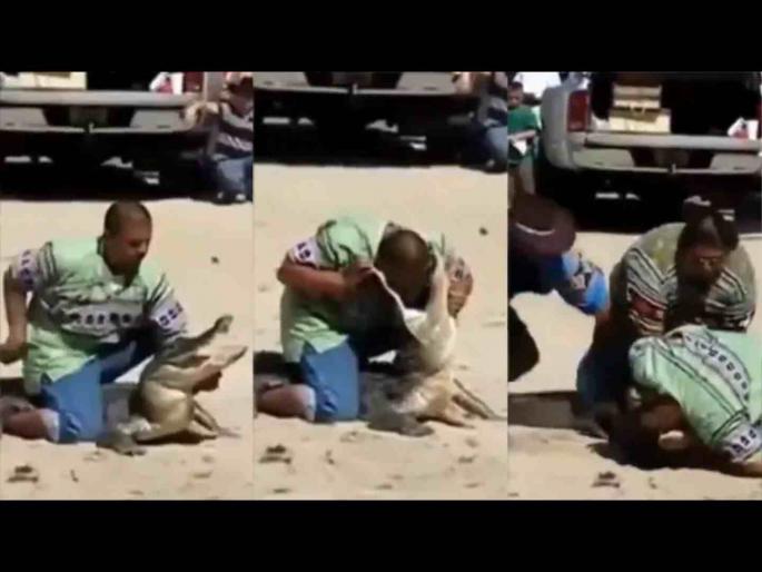 VIDEO : Man was doing stunts with crocodile see what happened next | VIDEO : मगरीसोबत स्टंट करत होती व्यक्ती, पुढे जे झालं ते बघून मनात भरेल धडकी! VIDEO : Man was doing stunts with crocodile see what happened next | VIDEO : मगरीसोबत स्टंट करत होती व्यक्ती, पुढे जे झालं ते बघून मनात भरेल धडकी!