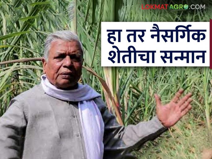 Natural farming: 'Padma Shri' award announced for Subhash Sharma of Yavatmal, the father of natural farming. Read in detail | Natural farming : नैसर्गिक शेतीचे जनक यवतमाळचे सुभाष शर्मा यांना 'पद्मश्री' पुरस्कार जाहीर वाचा सविस्तर Natural farming: 'Padma Shri' award announced for Subhash Sharma of Yavatmal, the father of natural farming. Read in detail | Natural farming : नैसर्गिक शेतीचे जनक यवतमाळचे सुभाष शर्मा यांना 'पद्मश्री' पुरस्कार जाहीर वाचा सविस्तर