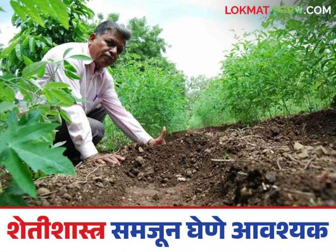 Natural farming: Tax natural farming on the consuming society; Read in detail what PadmaShri Subhash Sharma says | Natural farming : उपभोग घेणाऱ्या समाजावर नैसर्गिक शेतीचा टॅक्स बसवा; पद्मश्री सुभाष शर्मा काय सांगतात वाचा सविस्तर