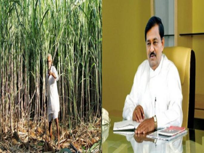 The co operative department ministers sugar factory utara up to eight and half percent | सहकारमंत्र्यांच्या कारखान्याचा साखर उतारा साडेआठ टक्क्यांच्या आत The co operative department ministers sugar factory utara up to eight and half percent | सहकारमंत्र्यांच्या कारखान्याचा साखर उतारा साडेआठ टक्क्यांच्या आत