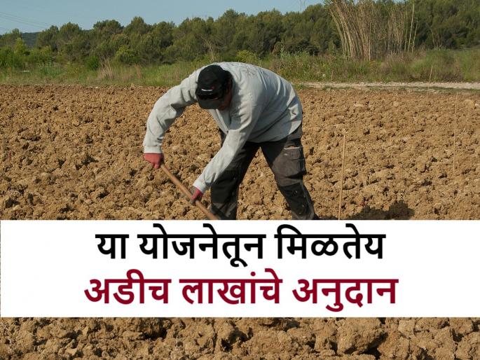 Farming Scheme: farmers will get a subsidy of up to two and a half lakhs from this scheme | Farming scheme: या योजनेतून मिळेल अडीच लाखांपर्यंतचे अनुदान, तुम्ही अर्ज केलात का? Farming Scheme: farmers will get a subsidy of up to two and a half lakhs from this scheme | Farming scheme: या योजनेतून मिळेल अडीच लाखांपर्यंतचे अनुदान, तुम्ही अर्ज केलात का?