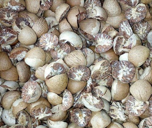 In Nagpur, the poisonous supari is being smuggled | नागपुरात विषारी सुपारीची तस्करी धडाक्यात सुरू