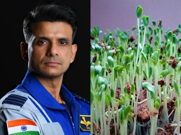 Shubhanshu Shukla will try to grow methi, moong daal and study tardigrades in microgravity in space | Axiom Mission-4 : शुभांशू शुक्ला अंतराळात घेऊन गेले मेथी आणि मूग, तिथं रुजवणार बी कारण..