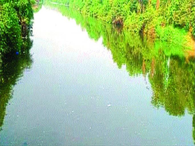 Great rise in Rabbi area in Sudhagad | सुधागडमध्ये रब्बी क्षेत्रात मोठी वाढ Great rise in Rabbi area in Sudhagad | सुधागडमध्ये रब्बी क्षेत्रात मोठी वाढ