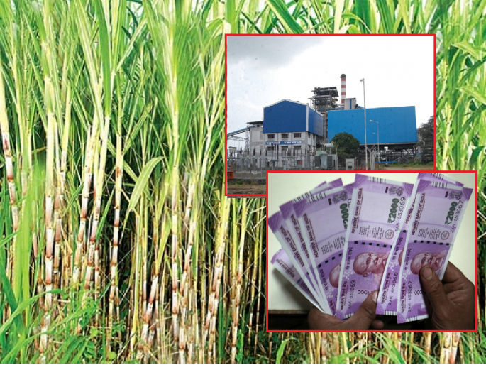 At last the farmers' struggle was won; 2 crores of Maharashtra Sugar came to the account | अखेर शेतकऱ्यांच्या संघर्षाचा विजय झाला; महाराष्ट्र शुगरचे २ कोटी खात्यावर आले At last the farmers' struggle was won; 2 crores of Maharashtra Sugar came to the account | अखेर शेतकऱ्यांच्या संघर्षाचा विजय झाला; महाराष्ट्र शुगरचे २ कोटी खात्यावर आले