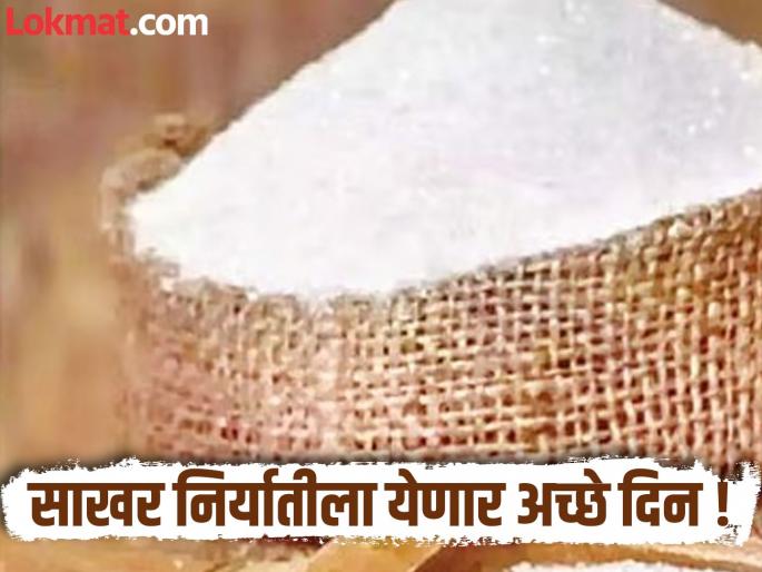 Good days are coming for sugar exports..! Demand will increase from all over the world | साखर निर्यातीला येणार अच्छे दिन..! जगभरातून मागणी वाढणार Good days are coming for sugar exports..! Demand will increase from all over the world | साखर निर्यातीला येणार अच्छे दिन..! जगभरातून मागणी वाढणार