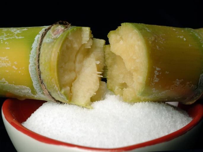 Export of 70 lakh tonnes sugar from the country: Central government policy | देशातून ७० लाख टन साखर निर्यात करणार : केंद्राचे धोरण  Export of 70 lakh tonnes sugar from the country: Central government policy | देशातून ७० लाख टन साखर निर्यात करणार : केंद्राचे धोरण