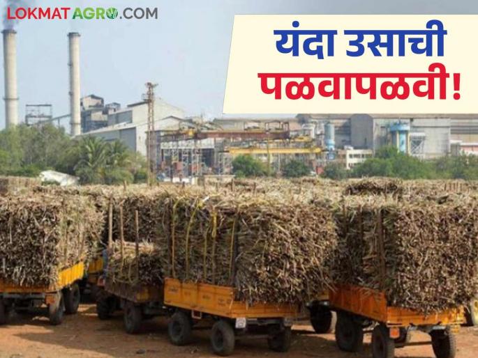 Sugarcane Crushing : Nanded's sugarcane is sweet to Latur people; Read in detail how much will be crushed | Sugarcane Crushing : नांदेडच्या उसाचा लातूरकरांना गोडवा; किती झाले गाळप वाचा सविस्तर Sugarcane Crushing : Nanded's sugarcane is sweet to Latur people; Read in detail how much will be crushed | Sugarcane Crushing : नांदेडच्या उसाचा लातूरकरांना गोडवा; किती झाले गाळप वाचा सविस्तर