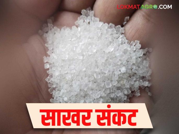 This year, the sugarcane crushing season ended in 83 days; a major change in the country's sugar production | यंदा ८३ दिवसातच गाळप हंगाम संपला; देशाच्या साखर उत्पादनात होणार मोठा बदल This year, the sugarcane crushing season ended in 83 days; a major change in the country's sugar production | यंदा ८३ दिवसातच गाळप हंगाम संपला; देशाच्या साखर उत्पादनात होणार मोठा बदल