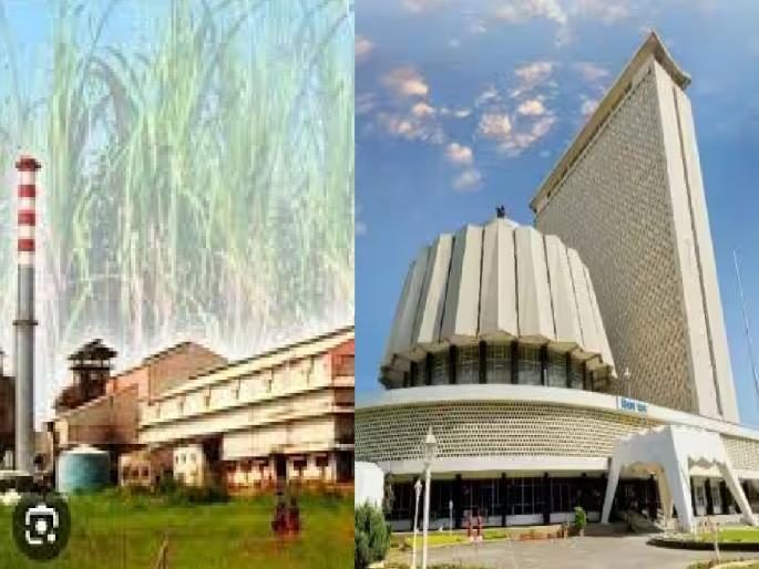 Maharashtra assembly vidhan sabha election 2024 most of the sugar millers are in the election fray In West Maharashtra | पश्चिम महाराष्ट्रात बहुतांश साखर कारखानदार निवडणूक रिंगणात Maharashtra assembly vidhan sabha election 2024 most of the sugar millers are in the election fray In West Maharashtra | पश्चिम महाराष्ट्रात बहुतांश साखर कारखानदार निवडणूक रिंगणात