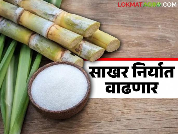 Sakhar Niryat : Increase in sugar exports in the current financial year; How much is exported to which country? | Sakhar Niryat : चालू आर्थिक वर्षात साखर निर्यातीत वाढ; कोणत्या देशात किती निर्यात? Sakhar Niryat : Increase in sugar exports in the current financial year; How much is exported to which country? | Sakhar Niryat : चालू आर्थिक वर्षात साखर निर्यातीत वाढ; कोणत्या देशात किती निर्यात?