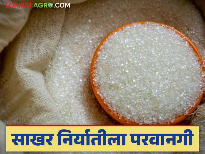 India dominates the world in sugar and ethanol production; Sugar exports will increase | भारताचा साखर व इथेनॉल उत्पादनात जगामध्ये दबदबा; साखर निर्यातीत होणार वाढ India dominates the world in sugar and ethanol production; Sugar exports will increase | भारताचा साखर व इथेनॉल उत्पादनात जगामध्ये दबदबा; साखर निर्यातीत होणार वाढ