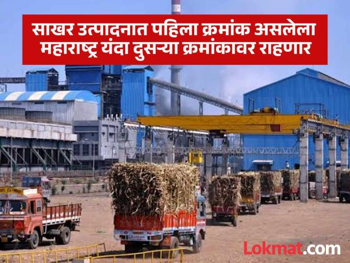 Sugar factory The state rank in sugar production will drop | Sugar factory : साखर उत्पादनात राज्याचा क्रमांक घसरणार; नेमकं कारण काय ? Sugar factory The state rank in sugar production will drop | Sugar factory : साखर उत्पादनात राज्याचा क्रमांक घसरणार; नेमकं कारण काय ?