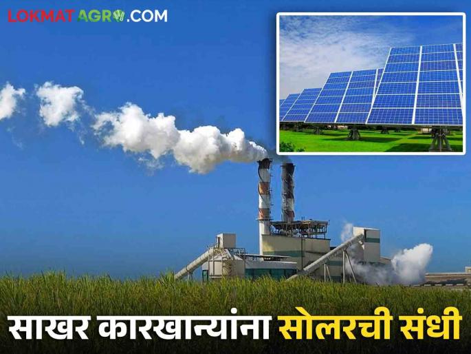 This beneficial offer was given by the Sugar Commissioner to the sugar mills in the state | राज्यातील साखर कारखान्यांना साखर आयुक्तांनी दिली ही फायद्याची ऑफर This beneficial offer was given by the Sugar Commissioner to the sugar mills in the state | राज्यातील साखर कारखान्यांना साखर आयुक्तांनी दिली ही फायद्याची ऑफर