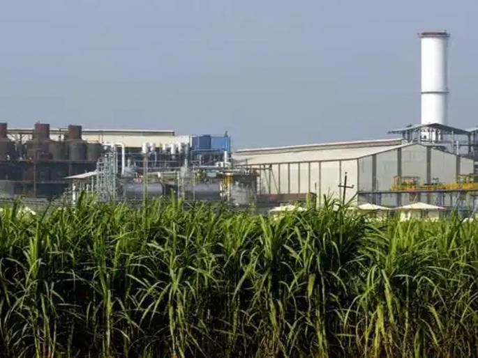 42 factories in the state produced more than three crore metric tonnes | राज्यात ४२ कारखान्यांचे तीन कोटी मेट्रिक टनापेक्षा झाले अधिक गाळप 42 factories in the state produced more than three crore metric tonnes | राज्यात ४२ कारखान्यांचे तीन कोटी मेट्रिक टनापेक्षा झाले अधिक गाळप