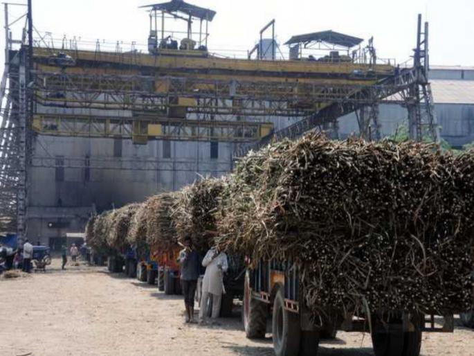 About 98 lakh tonnes of sugar production in the state so far 33 factories have completed their sugar season | राज्यात आतापर्यंत सुमारे ९८ लाख टन साखर उत्पादन, ३३ कारखान्यांचा गाळप हंगाम आटोपला About 98 lakh tonnes of sugar production in the state so far 33 factories have completed their sugar season | राज्यात आतापर्यंत सुमारे ९८ लाख टन साखर उत्पादन, ३३ कारखान्यांचा गाळप हंगाम आटोपला