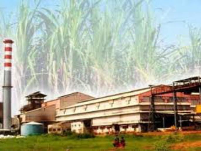 Employment in sugar factories in the state is prohibited | राज्यातील साखर कारखान्यांमध्ये नोकरभरतीला मनाई