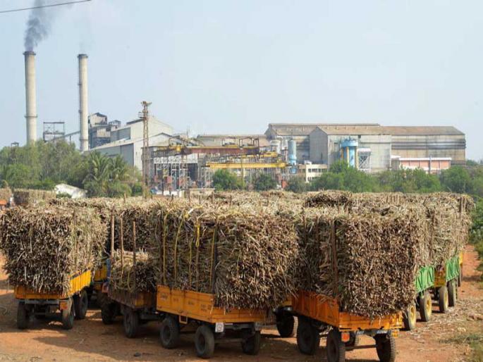 This year's sugar season is the second lowest in ten years | यंदाचा साखर हंगाम दहा वर्षांतील दुसरा नीचांकी हंगाम This year's sugar season is the second lowest in ten years | यंदाचा साखर हंगाम दहा वर्षांतील दुसरा नीचांकी हंगाम
