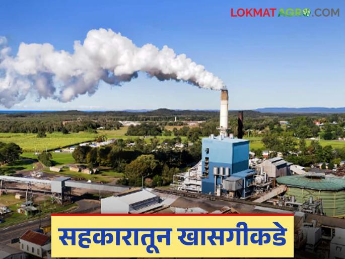 These nine groups have the pulse of the sugar industry in the state; Read in detail | राज्यात या नऊ समूहांकडे एकवटल्या साखर उद्योगाच्या नाड्या; वाचा सविस्तर These nine groups have the pulse of the sugar industry in the state; Read in detail | राज्यात या नऊ समूहांकडे एकवटल्या साखर उद्योगाच्या नाड्या; वाचा सविस्तर