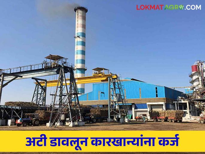 Loan for Sugar factory : Loans will be given to sugar factories by waiving the conditions of finance department | Loan for Sugar factory : वित्त विभागाच्या अटी डावलून साखर कारखान्यांना कर्ज देणार Loan for Sugar factory : Loans will be given to sugar factories by waiving the conditions of finance department | Loan for Sugar factory : वित्त विभागाच्या अटी डावलून साखर कारखान्यांना कर्ज देणार