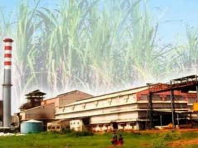 The sugar factories should give the first lift at 4000 | साखर कारखानदारांनी पहिली उचल चार हजारांवर द्यावी; शेतकरी संघटनांची बैठकीत भूमिका The sugar factories should give the first lift at 4000 | साखर कारखानदारांनी पहिली उचल चार हजारांवर द्यावी; शेतकरी संघटनांची बैठकीत भूमिका