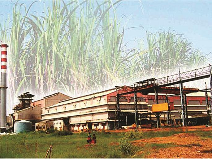 Farmers take jump on Saturday in the mill of Agasti factory; The question of sugarcane tariffs will get annoyed | अगस्ती कारखान्याच्या गव्हाणीत शनिवारी शेतकरी घेणार उड्या; ऊस दराचा प्रश्न चिघळणार Farmers take jump on Saturday in the mill of Agasti factory; The question of sugarcane tariffs will get annoyed | अगस्ती कारखान्याच्या गव्हाणीत शनिवारी शेतकरी घेणार उड्या; ऊस दराचा प्रश्न चिघळणार