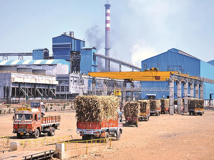Increase in area under sugarcane cultivation in the district despite closure of sugar mills | साखर कारखान्यांना टाळे लागूनही जिल्ह्यात ऊस लागवड क्षेत्रात वाढ Increase in area under sugarcane cultivation in the district despite closure of sugar mills | साखर कारखान्यांना टाळे लागूनही जिल्ह्यात ऊस लागवड क्षेत्रात वाढ