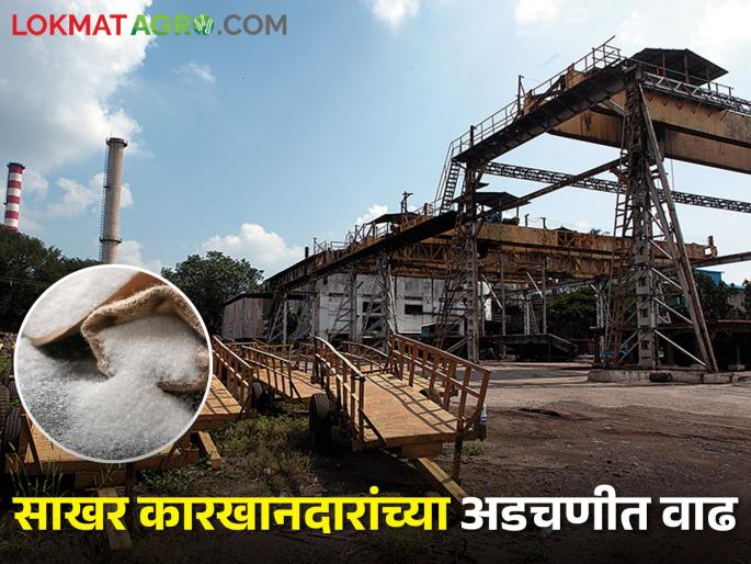 Sugar levy reduced by 100 rupees; Will the farmer sugarcane bills be received in time? | साखरेवरील उचल दर शंभर रुपयांनी कमी; शेतकऱ्यांना उसाची बिले वेळेत मिळणार का? Sugar levy reduced by 100 rupees; Will the farmer sugarcane bills be received in time? | साखरेवरील उचल दर शंभर रुपयांनी कमी; शेतकऱ्यांना उसाची बिले वेळेत मिळणार का?