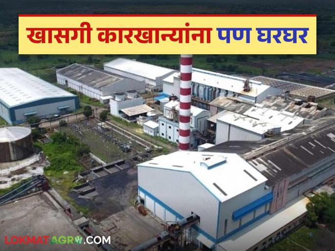 Sugar industry in crisis; 15 private sugar factories in the state sold in recent years | साखर उद्योगाला घरघर; अलीकडील काही वर्षांत राज्यातील १५ खासगी साखर कारखान्यांची विक्री
