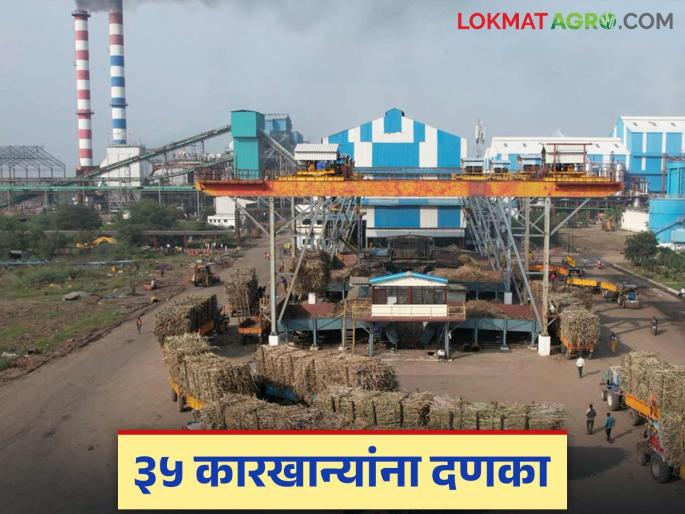 Hearing held on 35 sugar factories in the state with FRP arrears; What action will be taken? | राज्यातील एफआरपी थकबाकी असलेल्या ३५ साखर कारखान्यांची सुनावणी झाली; काय होईल कारवाई? Hearing held on 35 sugar factories in the state with FRP arrears; What action will be taken? | राज्यातील एफआरपी थकबाकी असलेल्या ३५ साखर कारखान्यांची सुनावणी झाली; काय होईल कारवाई?