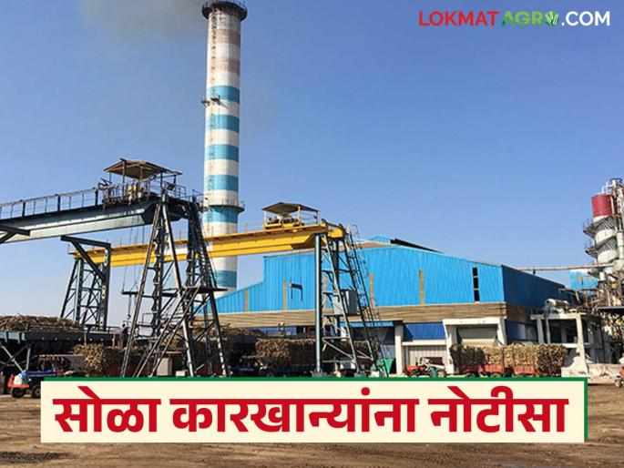 Farmers sugarcane was brought and the amount was deducted; Notice of action was given to these 16 sugar factories | शेतकऱ्यांचा ऊस आणून रक्कम थकविली; या १६ साखर कारखान्यांवर कारवाईची नोटीस Farmers sugarcane was brought and the amount was deducted; Notice of action was given to these 16 sugar factories | शेतकऱ्यांचा ऊस आणून रक्कम थकविली; या १६ साखर कारखान्यांवर कारवाईची नोटीस
