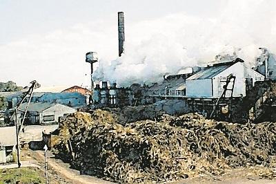 Due to the increase in production, the fear of sugar production is critical: the measures need to be taken | उत्पादन वाढीने साखर कारखानदारीवर भीतीचे सावट : उपाययोजना आवश्यक Due to the increase in production, the fear of sugar production is critical: the measures need to be taken | उत्पादन वाढीने साखर कारखानदारीवर भीतीचे सावट : उपाययोजना आवश्यक