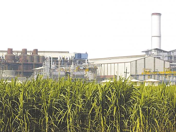 Farmers get 200 rupees in profit after tax; Three lakh tons of sugarcane remaining in Rahuri taluka | शेतक-यांना टनामागे २०० रूपयांचा फटका; राहुरी तालुक्यात तीन लाख टन ऊस शिल्लक Farmers get 200 rupees in profit after tax; Three lakh tons of sugarcane remaining in Rahuri taluka | शेतक-यांना टनामागे २०० रूपयांचा फटका; राहुरी तालुक्यात तीन लाख टन ऊस शिल्लक