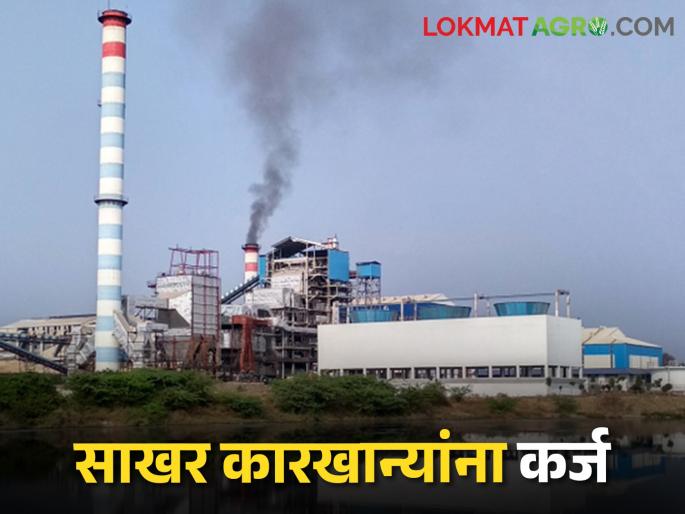 Loan for Sugar factory 117 crore loan from Zilla Bank to factories | Loan for Sugar factory सांगली जिल्हा बँकेकडून कारखान्यांना ११७ कोटींचे कर्ज Loan for Sugar factory 117 crore loan from Zilla Bank to factories | Loan for Sugar factory सांगली जिल्हा बँकेकडून कारखान्यांना ११७ कोटींचे कर्ज