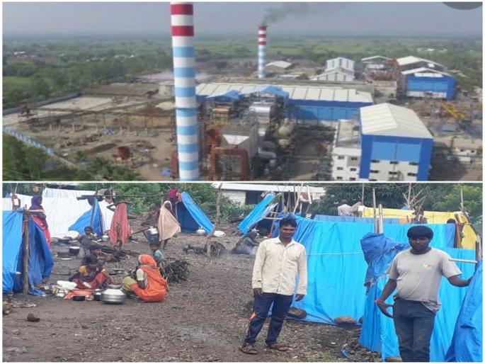 Sugar mills are about to start crushing sugarcane; Chimney to light Dussehra | दसऱ्याला पेटणार साखर कारखान्यांची धुराडी; ऊस गाळपासाठी लगबग सुरु Sugar mills are about to start crushing sugarcane; Chimney to light Dussehra | दसऱ्याला पेटणार साखर कारखान्यांची धुराडी; ऊस गाळपासाठी लगबग सुरु