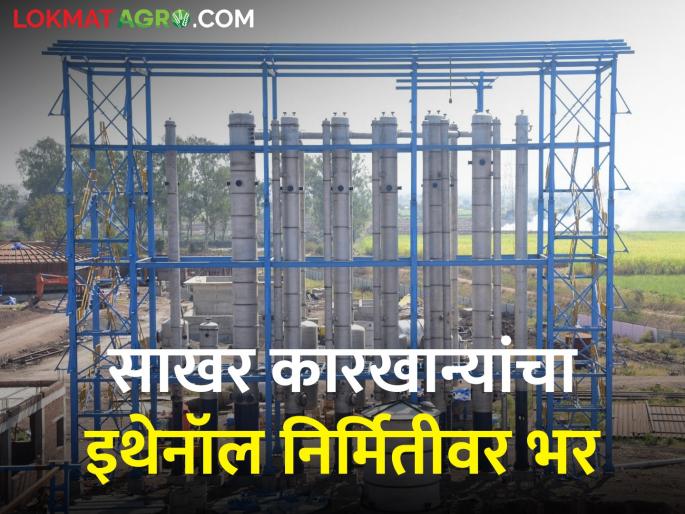 Latest News What effect does ethanol production have on sugar industry? | साखर कारखान्यांचा इथेनॉल निर्मितीवर भर, साखर उद्योगाची स्थेर्याकडे वाटचाल? पण...  Latest News What effect does ethanol production have on sugar industry? | साखर कारखान्यांचा इथेनॉल निर्मितीवर भर, साखर उद्योगाची स्थेर्याकडे वाटचाल? पण...