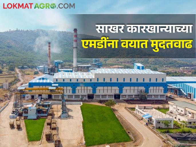 Extension of age after retirement of executive directors of cooperative sugar factories in the state | राज्यातील सहकारी साखर कारखान्यातील कार्यकारी संचालकांना सेवानिवृत्तीनंतर वयात मुदतवाढ