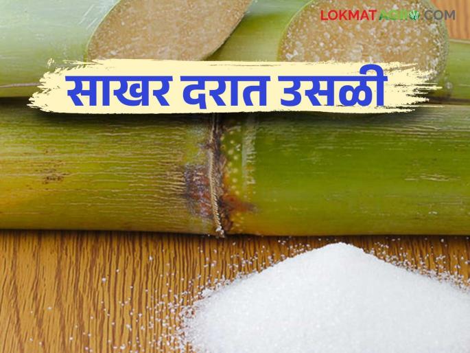 Big increase in sugar prices; Will factories pay farmers more than FRP? | साखरेच्या दरात मोठी वाढ; कारखाने शेतकऱ्यांना एफआरपीपेक्षा जादा दर देणार? Big increase in sugar prices; Will factories pay farmers more than FRP? | साखरेच्या दरात मोठी वाढ; कारखाने शेतकऱ्यांना एफआरपीपेक्षा जादा दर देणार?