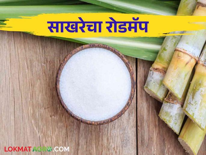 Roadmap prepared by Sugar Federation for the growth of sugar industry | साखर उद्योगाच्या वाढीसाठी साखर महासंघाने तयार केला रोडमॅप Roadmap prepared by Sugar Federation for the growth of sugar industry | साखर उद्योगाच्या वाढीसाठी साखर महासंघाने तयार केला रोडमॅप