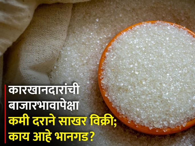 Accused Raju Shetty of making crores of rupees by selling sugar below the market price | बाजारभावापेक्षा कमी दराने साखर विकून कोट्यवधींची वरकमाई Accused Raju Shetty of making crores of rupees by selling sugar below the market price | बाजारभावापेक्षा कमी दराने साखर विकून कोट्यवधींची वरकमाई