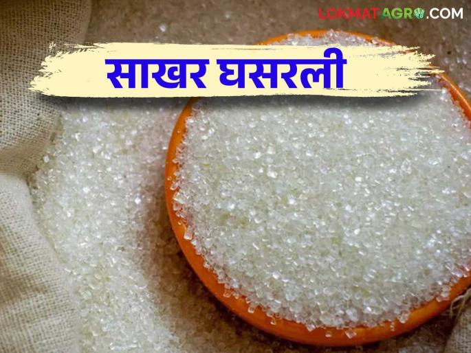 Sugar Market : Sugar price falls by Rs 200 per quintal; Will you get one time FRP? | Sugar Market : साखरेचा दर क्विंटलला २०० रुपयांनी घसरला; एकरकमी एफआरपी मिळणार का? Sugar Market : Sugar price falls by Rs 200 per quintal; Will you get one time FRP? | Sugar Market : साखरेचा दर क्विंटलला २०० रुपयांनी घसरला; एकरकमी एफआरपी मिळणार का?